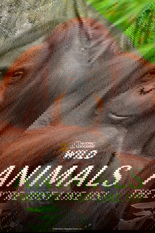 Animals, They’re Just Like Us!