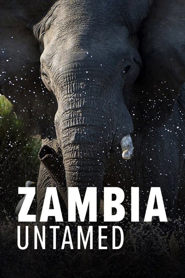 Zambia Untamed
