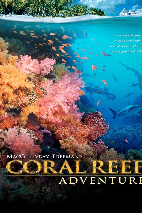 Coral Reef Adventure