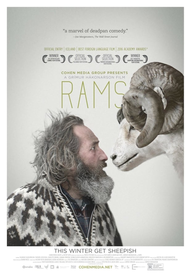 Rams (2015)