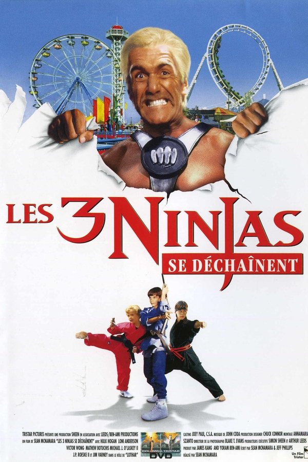 Ninja Kids 4 : Les 3 Ninjas se déchaînent