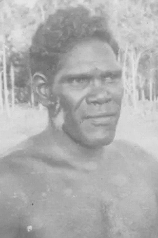 Nandjiwarra Amagula's headshot