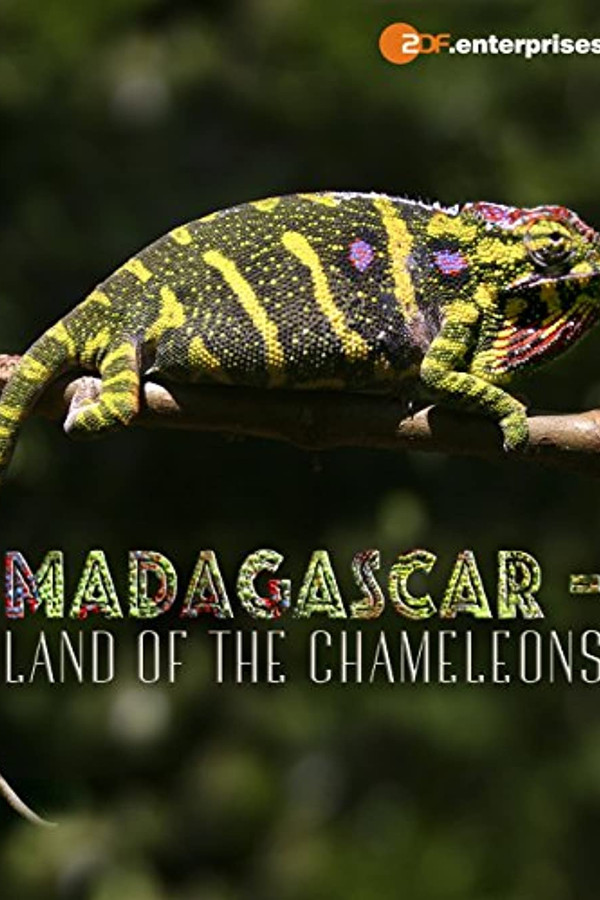 DE - Madagascar: Land of the Chameleons - 2012