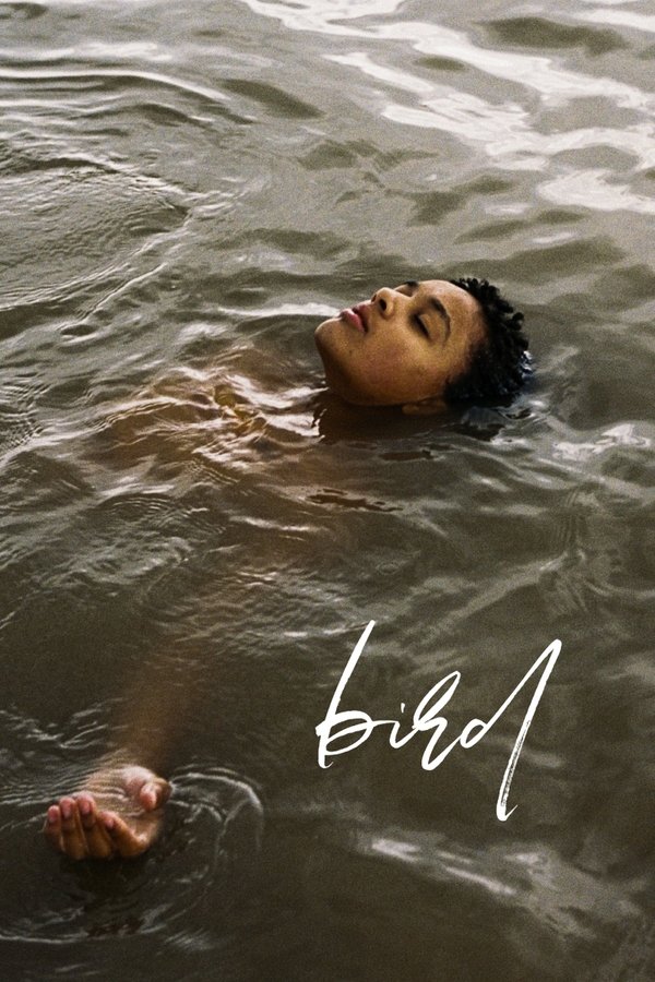 Bird Poster
