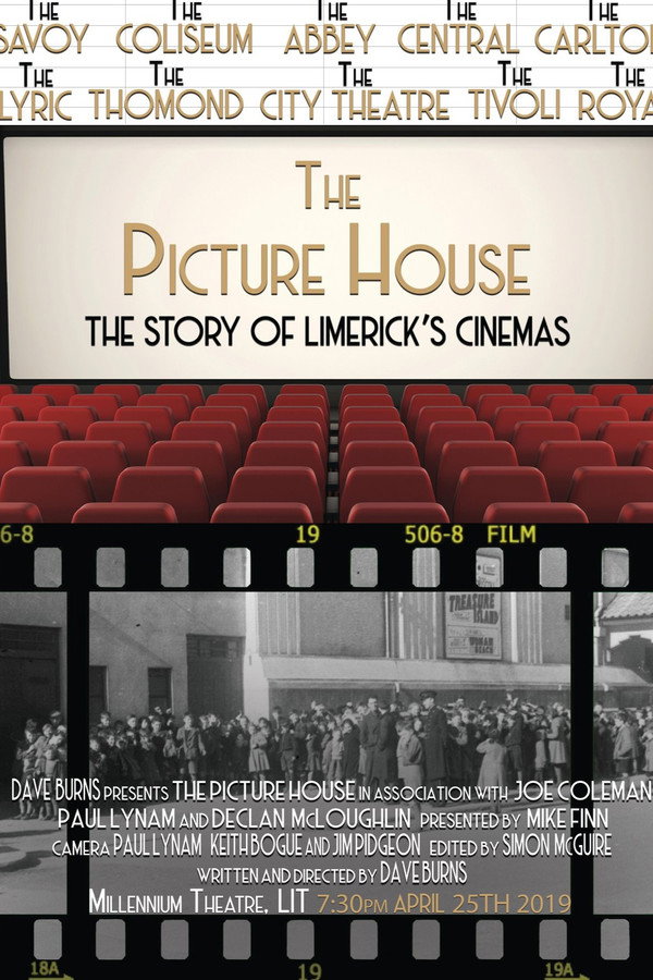 The Picture House: The Story of Limerick's Cinemas