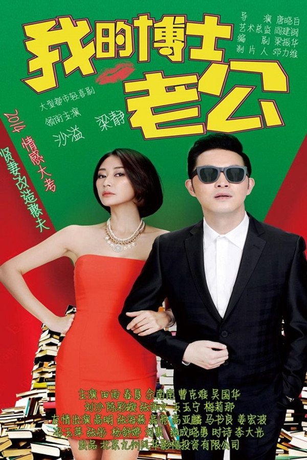 我的博士老公海报