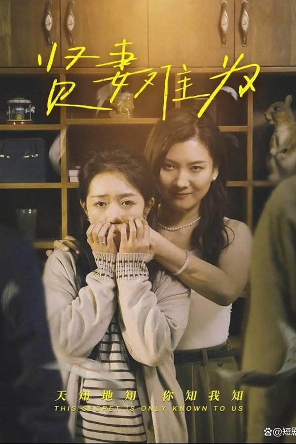 贤妻难为 poster
