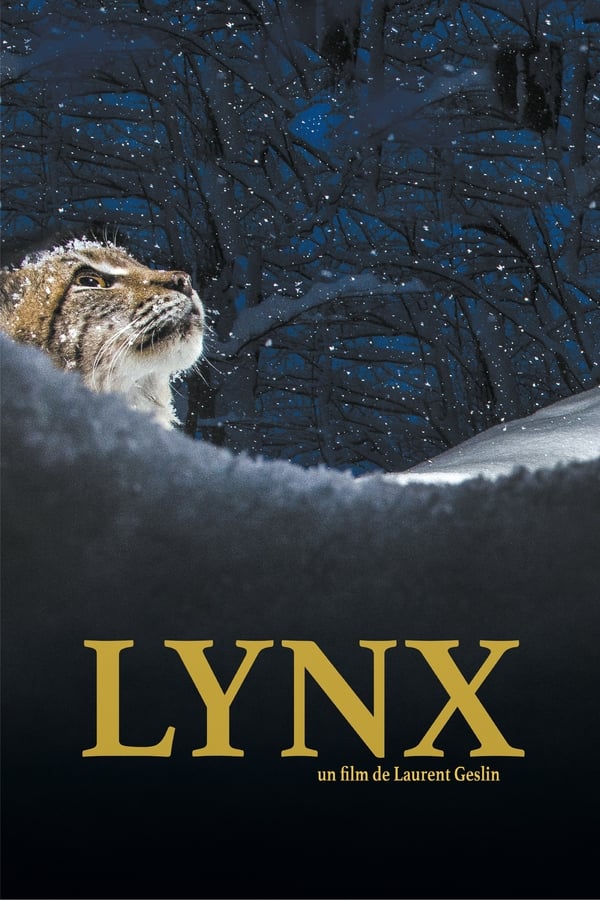 FR - Lynx (2022)