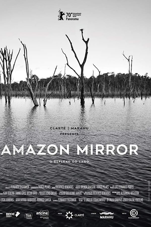 Amazon Mirror