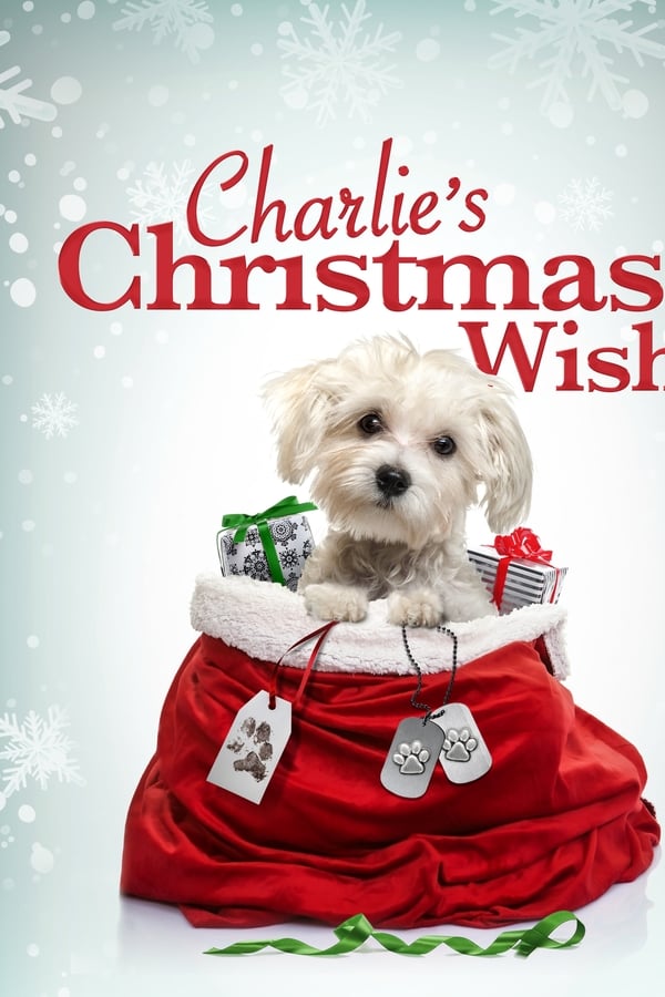 EN - Charlie's Christmas Wish  (2020)