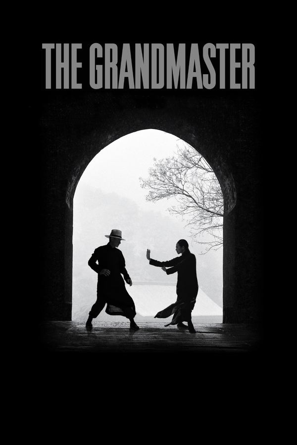 TVplus EX - The Grandmaster (2013)