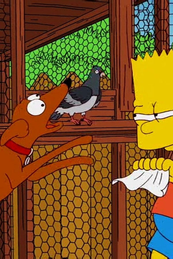 Combien pour cet oiseau dans la vitrine ?