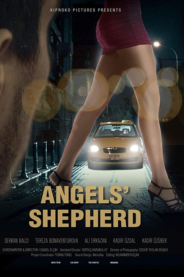 Angels'Shepherd