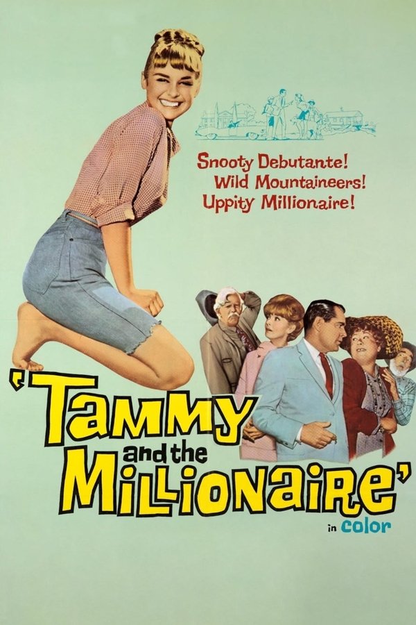 Tammy and the Millionaire poster
