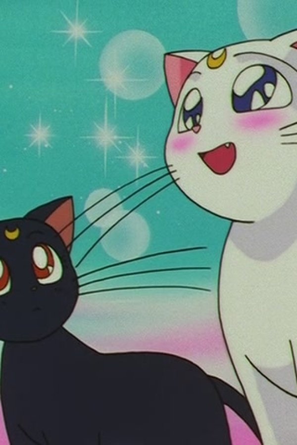 Sailor Moon – S04E06 – La gattina parlante