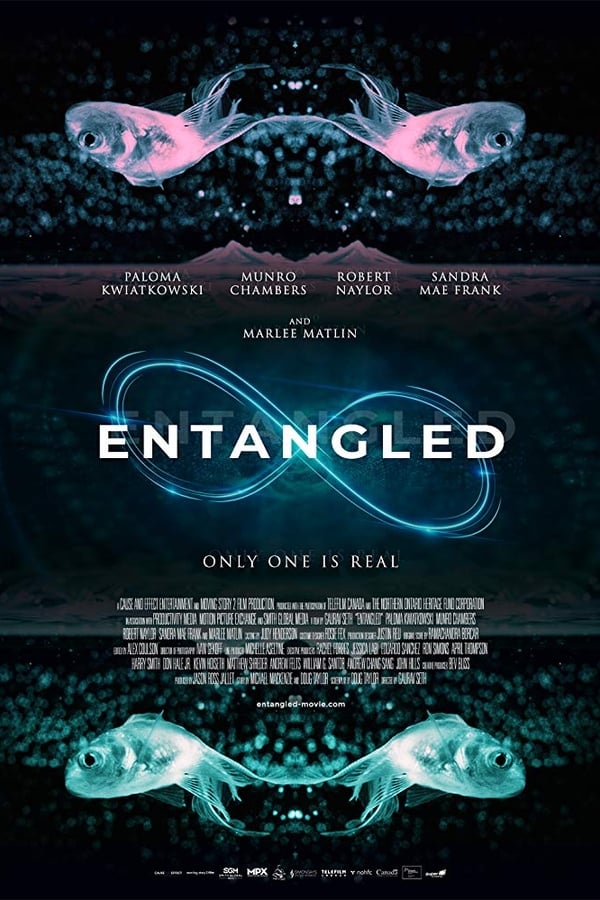 Four brilliant university students are forced to confront themselves in terrifying ways when their Quantum Physics experiment leads to an entangled parallel existence that leaves them questioning who they are and what is real.