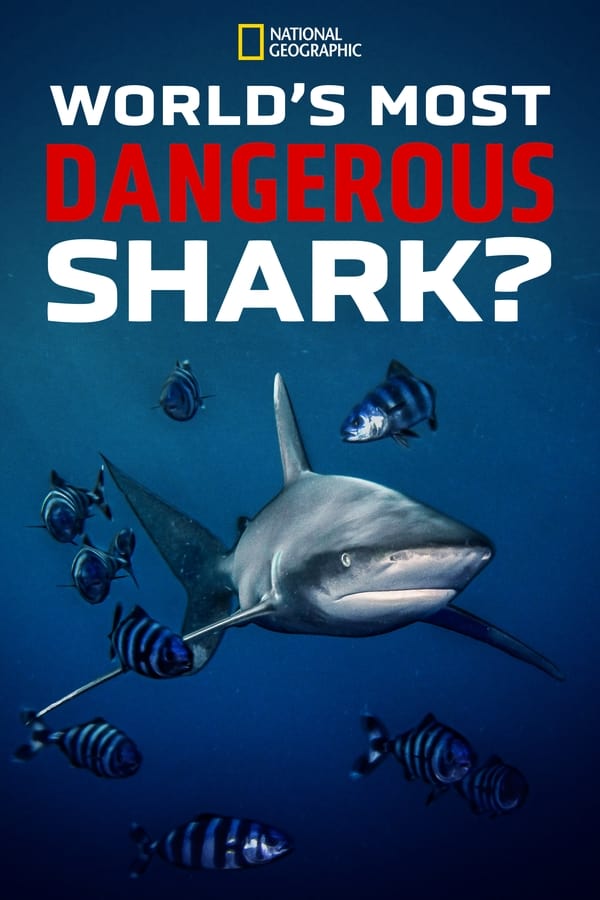 EN - World's Most Dangerous Shark? (2023)
