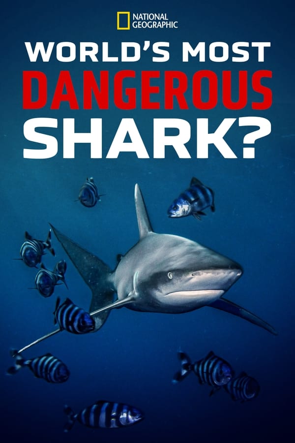 EN - World's Most Dangerous Shark?  (2021)