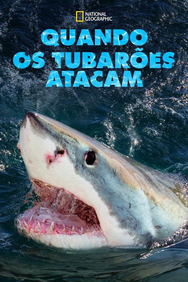 When Sharks Attack... and Why (2023) S01 E01