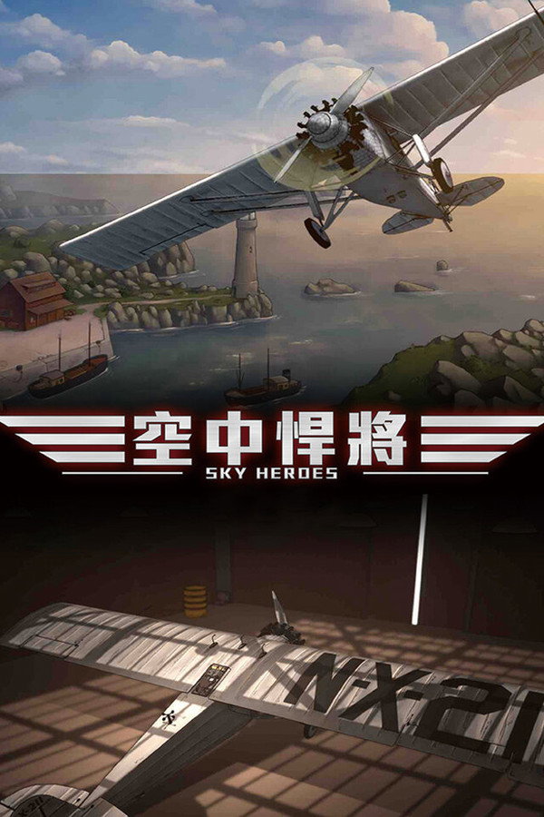 空中悍将