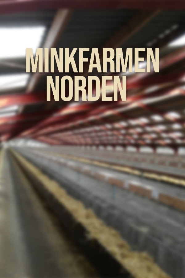 Minkfarmen Norden