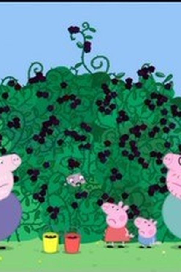 Peppa Pig – S03E46 – Il rovo di more