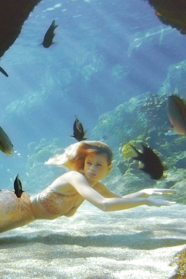 Mako Mermaids – Vita da tritone – S01E03 – La preside