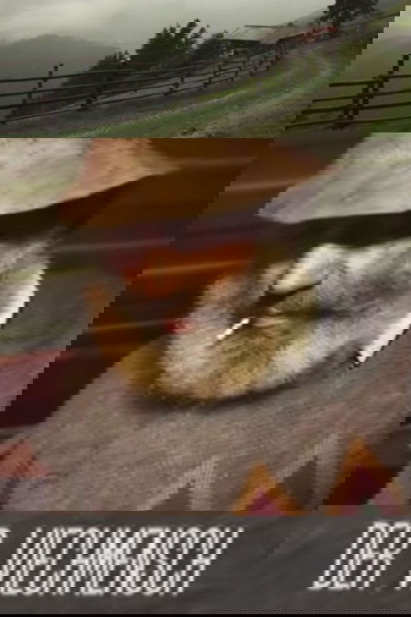 The Beastman/Animalman