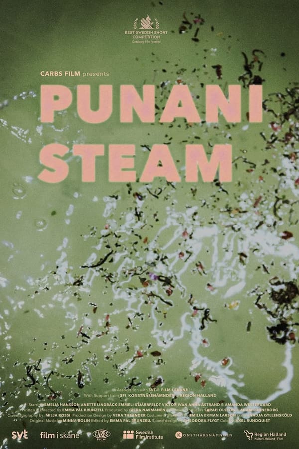 Punani Steam