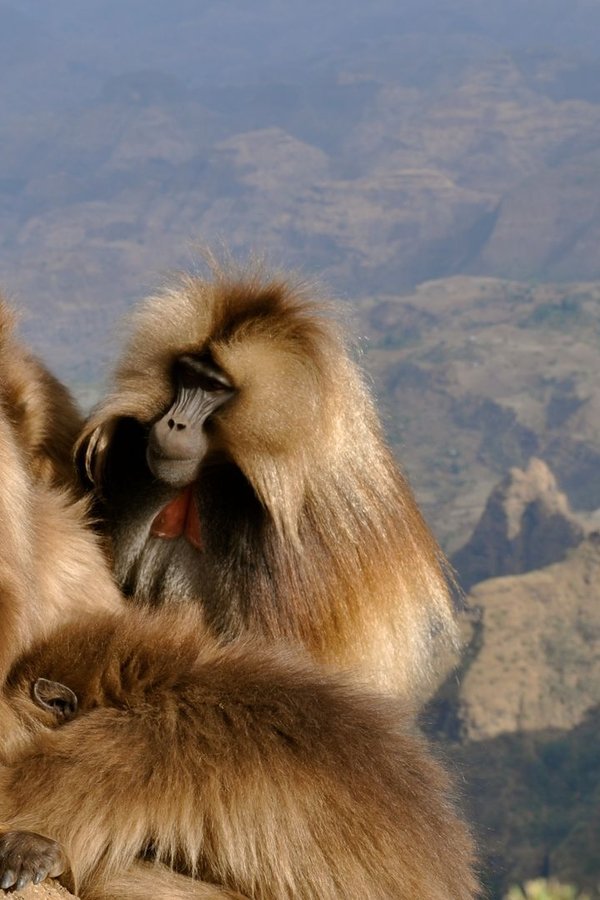 Africa: Meraviglie Nascoste – S01E02 – Episodio 2