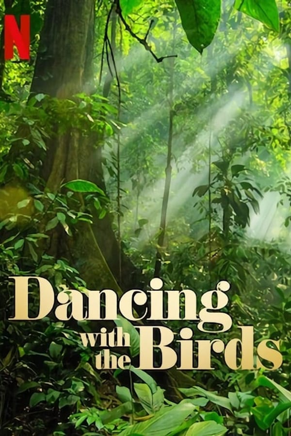 Dancing with the Birds