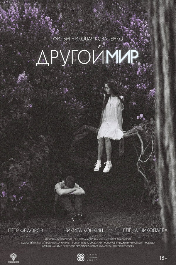 Другой мир
