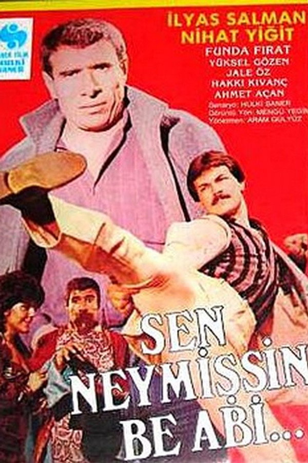 Sen Neymişsin Be Abi...