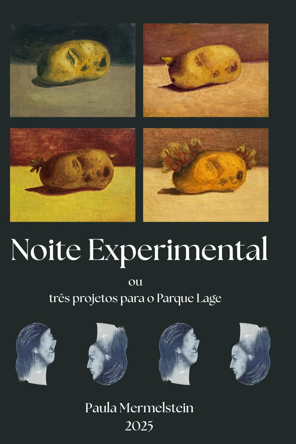 Noite Experimental