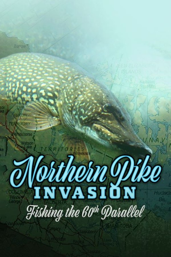 Northern Pike Invasion Fishing the 60th Parallel Erotic Movies