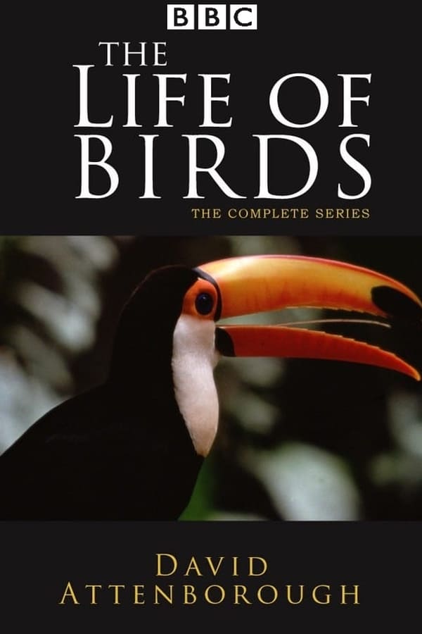 EN| The Life Of Birds