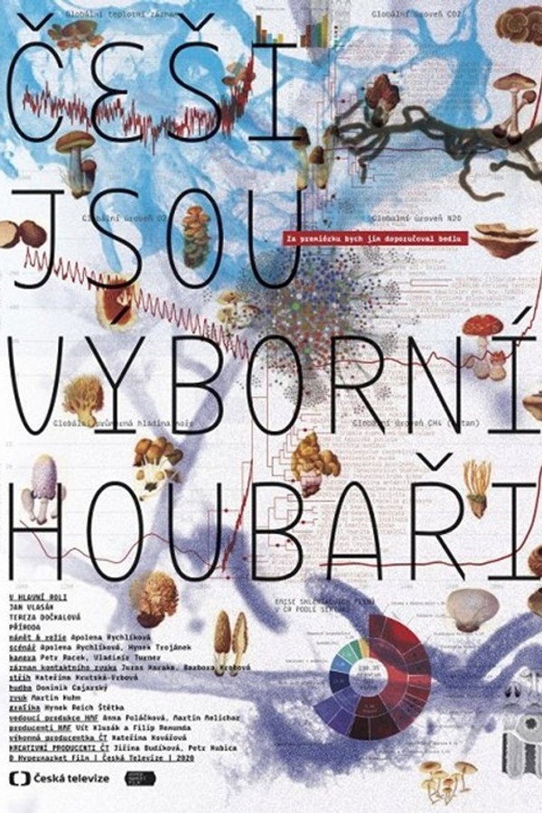 Češi jsou výborní houbaři