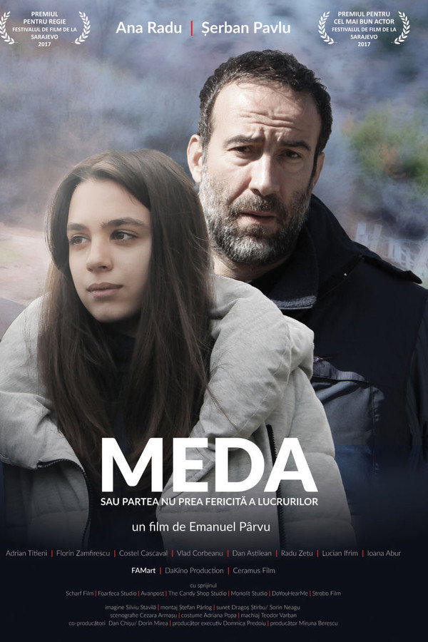 Meda ou Le moins bon côté des choses
