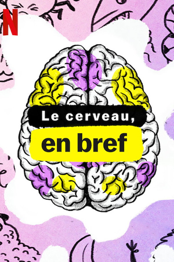 Le Cerveau, en bref