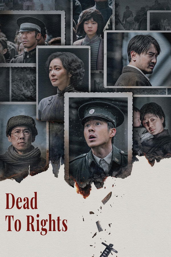 Dead to Rights (2025) WEB-DL 1080p 720p Full Chinese Movie Download