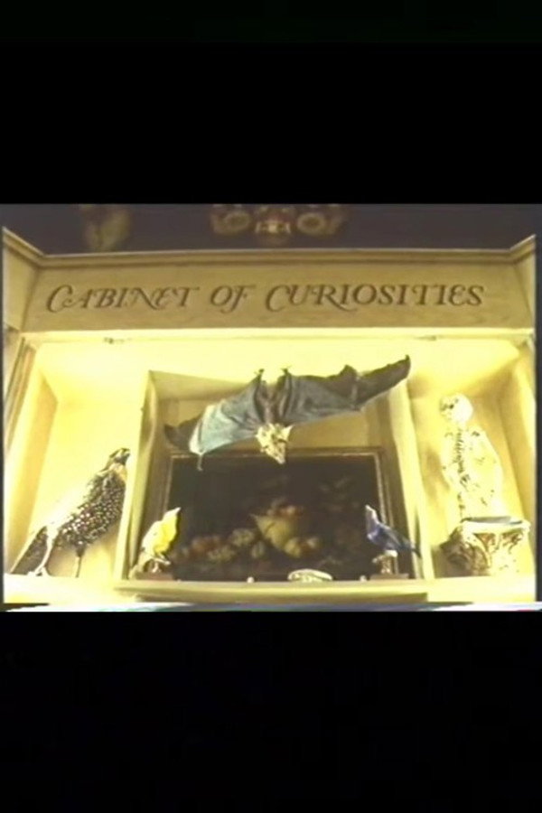 Cabinet of Curiosities