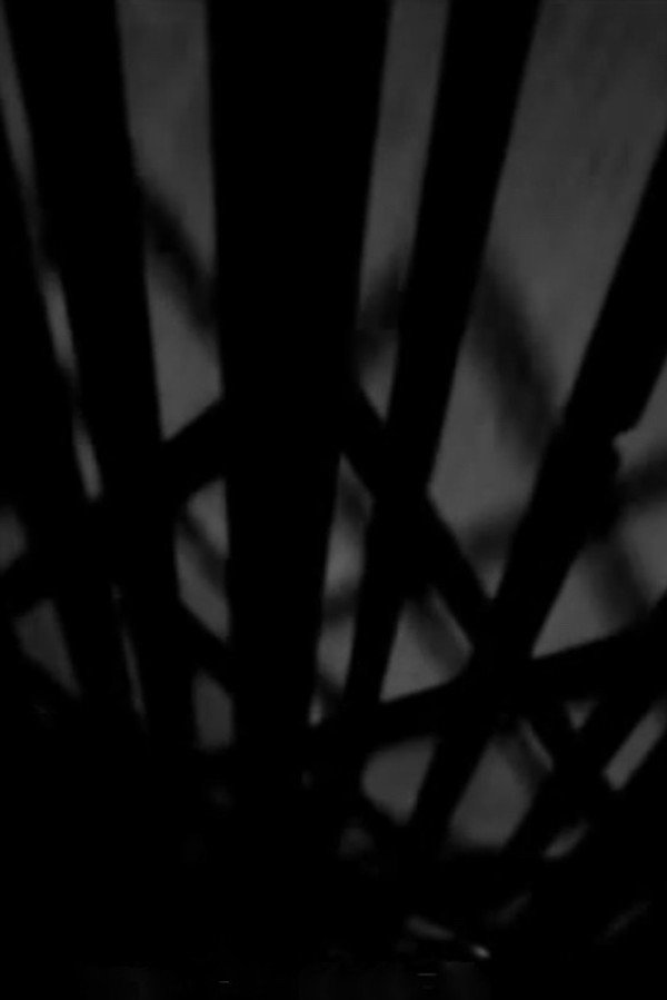 Dreams In Digital Or What They Teach You At Film School