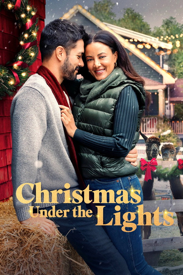 Un Noël plein de lumières