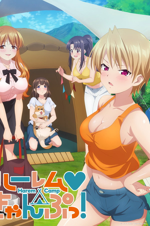 Harem au camping !