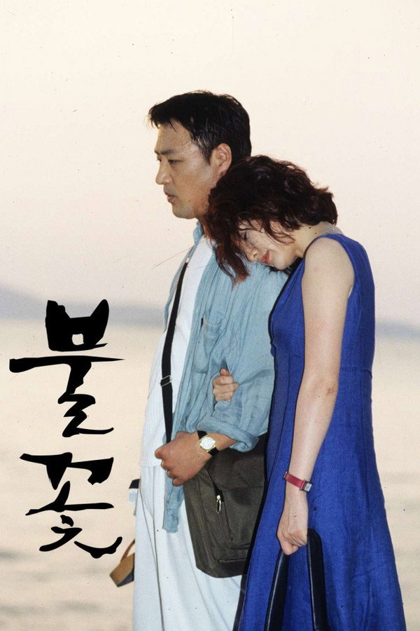 불꽃