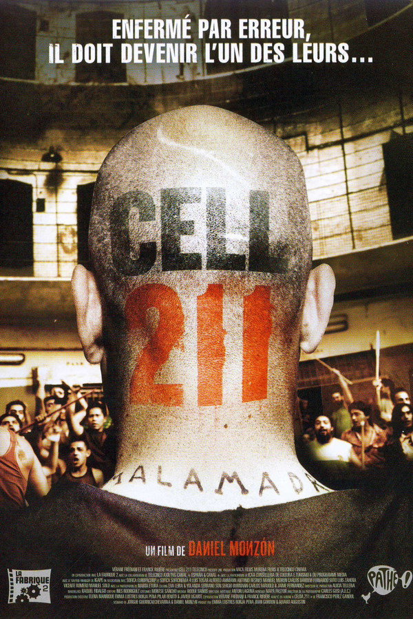 Cellule 211