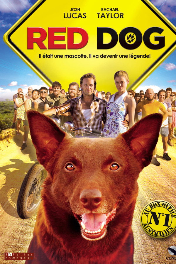 Red Dog
