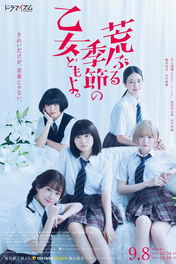 荒ぶる季節の乙女どもよ｡