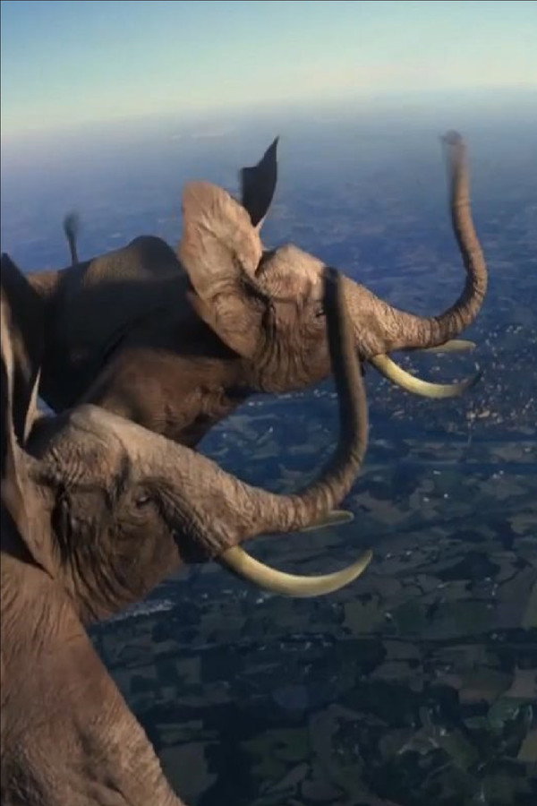 Idents France 3