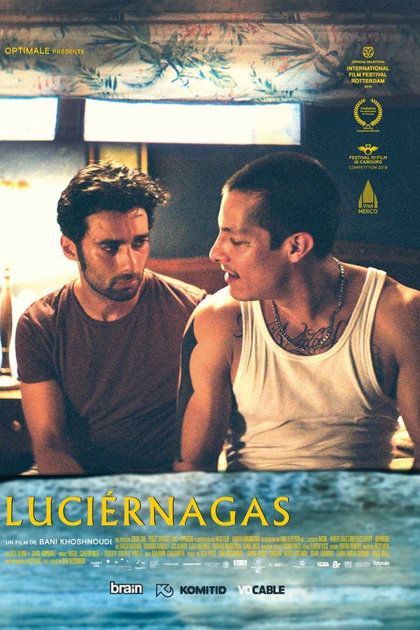 Luciérnagas